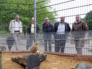 Guck mal, wer da guckt: Tierpark-Leiter Stefan Heffels (v.r.), Vorsitzender des Tierpark-Vereins Bürgermeister Alfred Sonders, stellvertretender Vorsitzender Ullrich Deinert, Geschäftsführer Karl Becher und Foga-Prokurist Ernst Erasmus haben Vergnügen an den possierlichen Nagern.