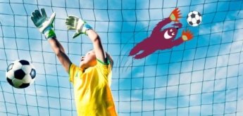 Fußball-WM
