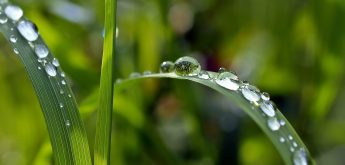 Regenwetter