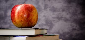Bücher