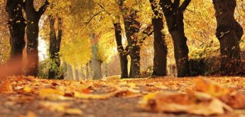 Herbstferienspiele