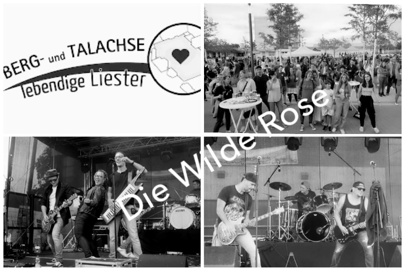 wilde Rose