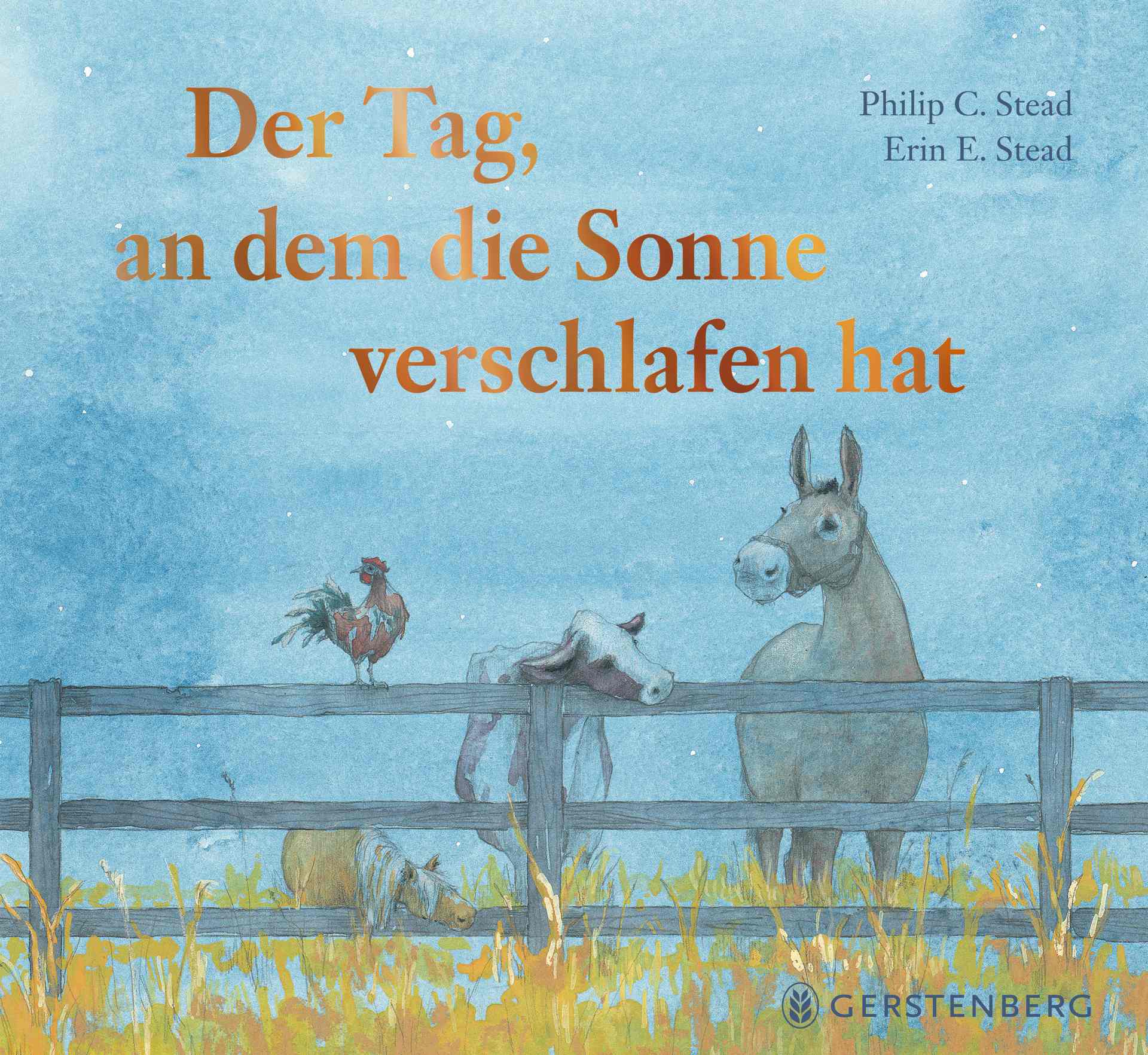 Cover: Der Tag, an dem die Sonne verschlafen hat